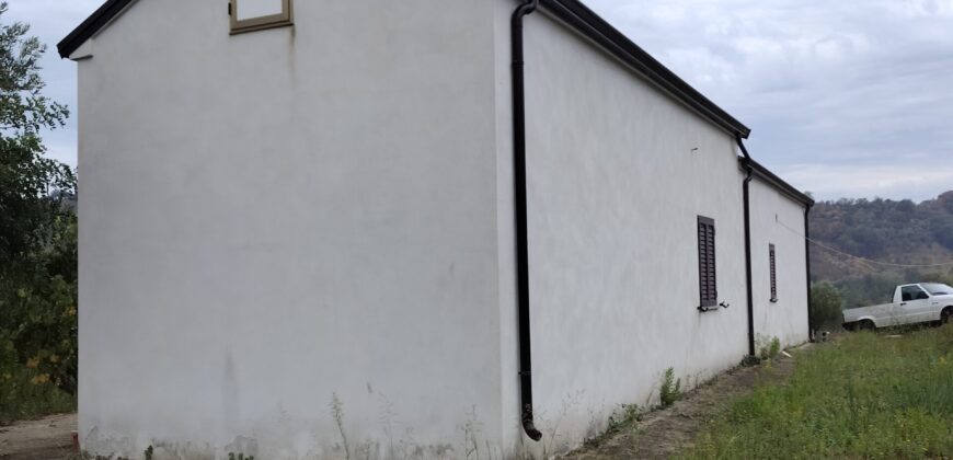 Rare Organic Wine & Olive Estate Offered for Sale in Calabria