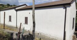 Rare Organic Wine & Olive Estate Offered for Sale in Calabria