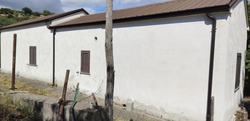 Rare Organic Wine & Olive Estate Offered for Sale in Calabria