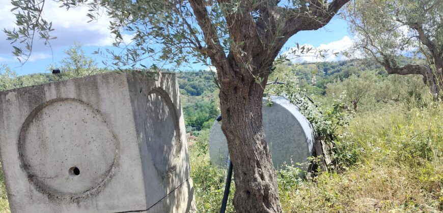 Rare Organic Wine & Olive Estate Offered for Sale in Calabria