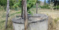 Rare Organic Wine & Olive Estate Offered for Sale in Calabria