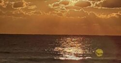 PANORAMIC SEA VIEW APARTMENT-CETRARO-CALABRIA