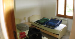 Testing