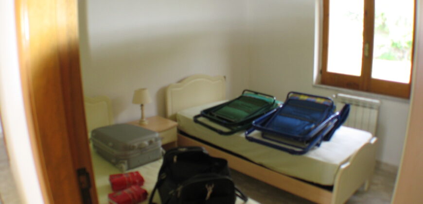 Testing